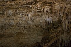 DSC_7445-1