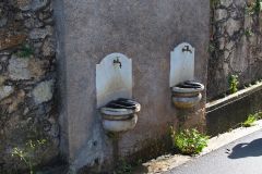 1_DSC_8028