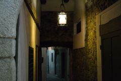 DSC_6479
