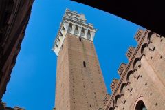 1_DSC_6620