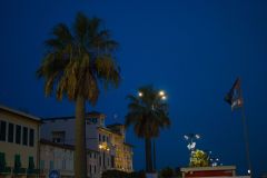 DSC_6859