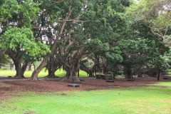 20220326_085826_copy