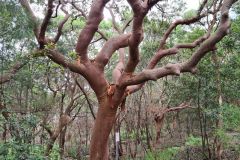 20220326_135048_copy