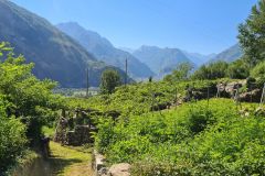 20220708_163712_copy