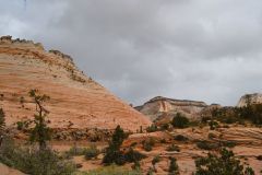 DSC_8892