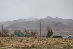 DSC_8930