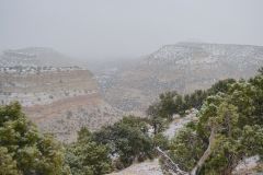 DSC_8955