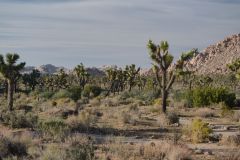 1_DSC_8386