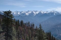 1_DSC_8543