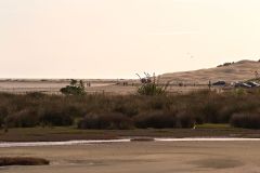 DSC_9406