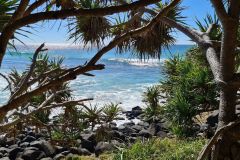 Pandanus-framed Pacific Ocean view from Burleigh Headland