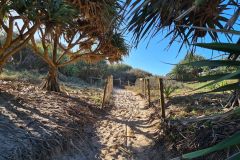 Sandy coastal path through pandanus at Burleigh Headland, Gold Coast