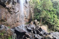 Gold Coast Hinterland Cliffside Waterfall and Rainforest