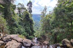 Rainforest Gorge Viewed From Upper Waterfall Ledge