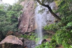 Rainforest Waterfall Beneath Sandstone Cliff