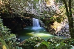 Natural Bridge Waterfall Grotto, Springbrook National Park