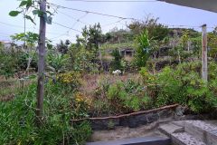 Terraced Garden Behind a Rural Home, Arco de São Jorge