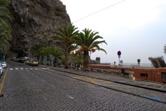 Palm-Lined Coastal Road Beneath the Cliffs of Ponta do Sol, Madeira