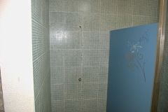 Tiled Shower Stall with Graffiti, Madeira Island