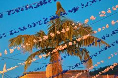 Festive Palm Tree Decorations at Dusk in Arco de São Jorge, Madeira