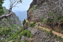 Hikers on exposed PR1 Vereda do Areeiro cliff path near Pico Ruivo, Madeira, Portugal