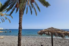 Palm-Framed Pebble Beach in Santa Cruz, Madeira