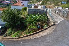 Small Hillside Garden Beside a Steep Road