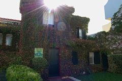Sunlit Ivy-Covered House with Shutters