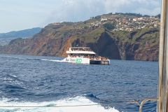 Whale-Watching Catamaran off Madeira’s South Coast