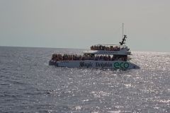 Whale Watching Catamaran off Madeira Coast
