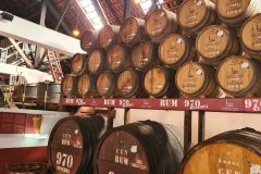 Aging Rum Barrels, Porto da Cruz Rum Distillery, Madeira Island, Portugal