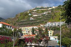 Terraced Hillside Homes Above Funchal, Madeira Island