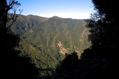 Forested Mountain Ridges on Madeira Island