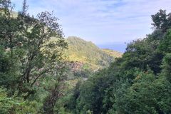 Forest-Framed View Over a Mountain Village Along Levada de Achada Grande, Boa Ventura