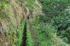 Narrow Cliffside Path Following Levada de Achada Grande in Boa Ventura
