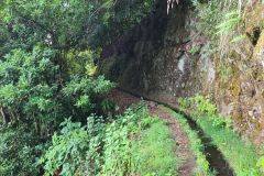Quiet Forest Bend Along Levada de Achada Grande in Boa Ventura