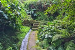 Mossy Levada Channel on Levada de Achada Grande, Boa Ventura