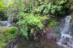 Small Levada Waterfall, Levada de Achada Grande, Boa Ventura, Madeira