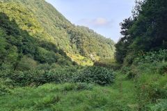 Green Valley Path near Levada de Achada Grande, Boa Ventura, Madeira