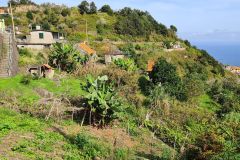 Terraced Hillside Gardens above Boa Ventura, Madeira