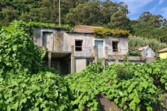 Abandoned Rural House Overgrown by Vines near Boaventura, Madeira