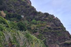 Terraced Hillside near São Jorge, Madeira