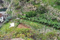 Banana Terraces below São Jorge Cliffs, Madeira