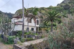 Palm-Framed Rural House in São Jorge Valley, Madeira