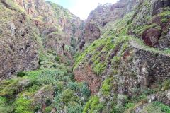 Stone Stairway Above a Lush Ravine on Caminho Real, Paul do Mar, Madeira