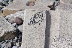 Street Art on Coastal Breakwater, Paul do Mar, Madeira