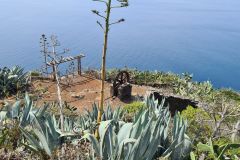 Clifftop Lookout with Agave and Old Winch above Paul do Mar, Madeira