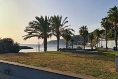 Palm-Lined Seafront at Ribeira Brava, Madeira