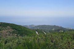 Levada do Paul II Overlooking Madeira’s North Coast