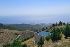 Levada do Paul II Reservoir View, Madeira Highlands